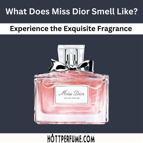 dior perfume reviews|what does miss dior smell like.